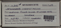 Image Associated With the Occurence